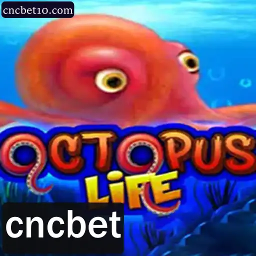 Descubra OctopusLife: O Novo Sensação do Mundo dos Jogos
